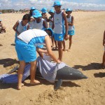 Projeto Golfinho 2008 vai beneficiar cerca de 400 crianças e adolescentes - Foto: Ascom/SSP