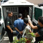 Vinte presos são transferidos de delegacias para o Presídio de São Cristóvão - Foto: Reinaldo Gasparoni/SSP