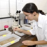 Dengue: entomologista alerta para o descarte indevido de lixo - Fábio Nascimento / Foto: Wellington Barreto