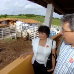 Governador lança Campanha de Vacinação Contra a Febre Aftosa - Foto: Marcio Dantas/ASN