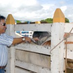 Sergipe é reconhecido como área livre de febre aftosa pela OIE - Déda lança campanha de vacinação contra febre aftosa este ano / Foto: Márcio Dantas/ASN