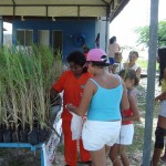 Prefeitura de Aracaju distribui mudas de citronela doadas pelo Banese  - Foto: Ascom/Emsurb