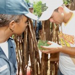 Governo combate o mosquito da dengue em ação em sete municípios - Foto: Márcio Garcez/Saúde