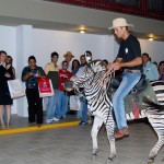 120 agentes de viagem conhecem as potencialidades de Sergipe - Foto: Wellington Barreto