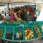 Sergipe de Todos em Itabaiana realiza mais de 49 mil atendimentos - Foto: Jorge Henrique/ASN