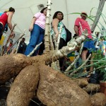 Sergipe de Todos: mais de 20 mil atendimentos realizados em Ribeirópolis - Foto: André Moreira/ASN