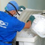HUSE: projeto pioneiro vai garantir novo destino aos resíduos hospitalares - Foto: Márcio Garcez/Saúde