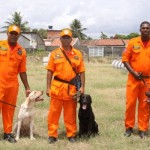 Bombeiros de Sergipe estão preparados para atuar no Haiti - Foto: Ascom/SSP