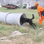 Bombeiros de Sergipe estão preparados para atuar no Haiti - Foto: Ascom/SSP