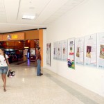 Seed divulga ações em exposição no Shopping Riomar -
