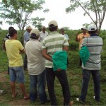 Emdagro realiza dia de campo sobre gliricídia - Fotos: Ascom Emdagro
