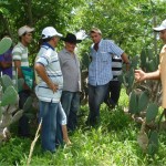 Emdagro realiza dia de campo sobre gliricídia - Fotos: Ascom Emdagro