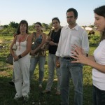 Governo e BNDES discutem medidas de incentivo à apicultura sergipana -