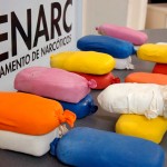 Traficante é surpreendido por policiais do Denarc com 20 kg de crack -