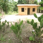 Governo substitui casas de taipa por construções em alvenaria no interior - Fotos: Edinah Mary/Seides