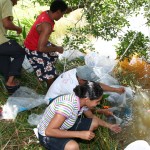 Governo Estadual incentiva a diversificação da produção pelo homem do campo  -