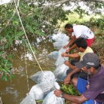 Governo Estadual incentiva a diversificação da produção pelo homem do campo  -