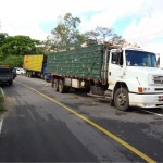 Emdagro apreende seis mil galinhas clandestinas - Fotos: Ascom/Emdagro