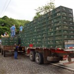 Emdagro apreende seis mil galinhas clandestinas - Fotos: Ascom/Emdagro