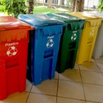 Seides integra Agenda Ambiental na Administração Pública - Heleonora Cerqueira