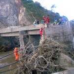 Bombeiros de Sergipe resgataram corpos em árvore de nove metros em AL -