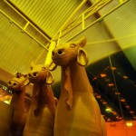 Centro de Artes atrai milhares de turistas no período junino - Bárbara Iglesias Raggio