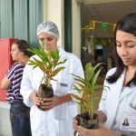 ONG distribui mudas de plantas para visitantes e funcionários de maternidade - Cristiane Nogueira