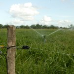 Governo resgata autoestima dos agricultores no perímetro irrigado Jabiberi -