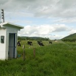 Governo resgata autoestima dos agricultores no perímetro irrigado Jabiberi -