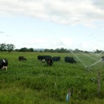 Governo resgata autoestima dos agricultores no perímetro irrigado Jabiberi -