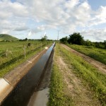 Governo resgata autoestima dos agricultores no perímetro irrigado Jabiberi -