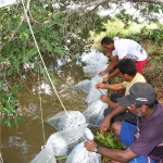 Emdagro realiza diagnóstico sobre aquicultura em Sergipe - Fotos: Ascom/Emdagro