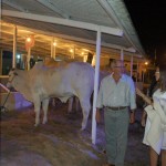 Paulo Viana representa o governador na abertura da Feira de Animais em Glória -