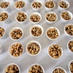Pequenos produtores participam da 1ª Feira Agroecológica de Sergipe - A primeiradama Eliane Aquino