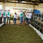 Agricultores participam de seminário sobre gliricídia - Fotos: Ascom/Emdagro