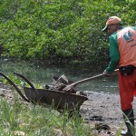 Após relatório da Adema sobre o Tramanday a Emsurb inicia limpeza da reserva ecológica -