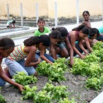 Escola Rural Rita Cacete promove projeto Granja na Escola -
