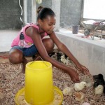 Escola Rural Rita Cacete promove projeto Granja na Escola -