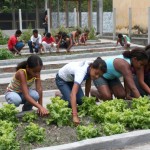 Escola Rural Rita Cacete promove projeto Granja na Escola -