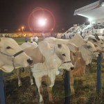 fez a abertura oficial do evento