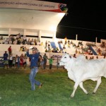 Paulo Viana