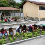 Escola Rural Rita Cacete promove projeto Granja na Escola -