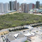 Após relatório da Adema sobre o Tramanday a Emsurb inicia limpeza da reserva ecológica -