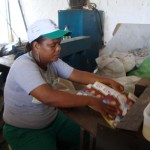 Secretaria de Meio Ambiente contribui com a Care - Fotos: Ascom/Semarh