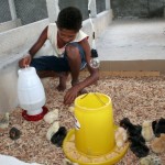 Escola Rural Rita Cacete promove projeto Granja na Escola -