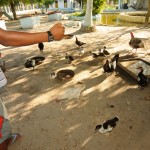 Renascer oferece tratamento contra o uso do crack a jovens abrigados - Fotos: Edinah Mary/Seides