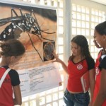 Escolas estaduais se mobilizam contra a dengue -