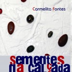 Editora Diário Oficial completa um ano de existência -