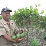 Crédito Fundiário muda a vida de milhares de agricultores em Sergipe - Fotos: Ascom/Pronese