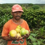 Crédito Fundiário muda a vida de milhares de agricultores em Sergipe - Fotos: Ascom/Pronese